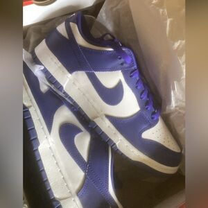 Concord/White Dunks Low Size 9.5 (DS)